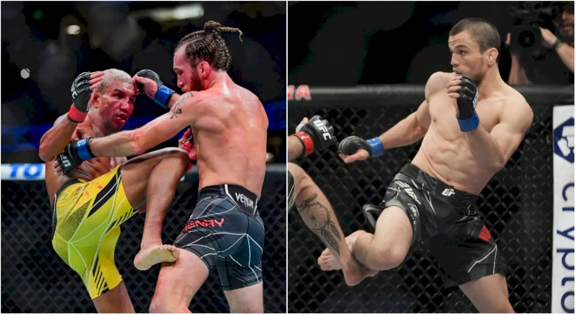 Umar Nurmagomedov: The Future of MMA
