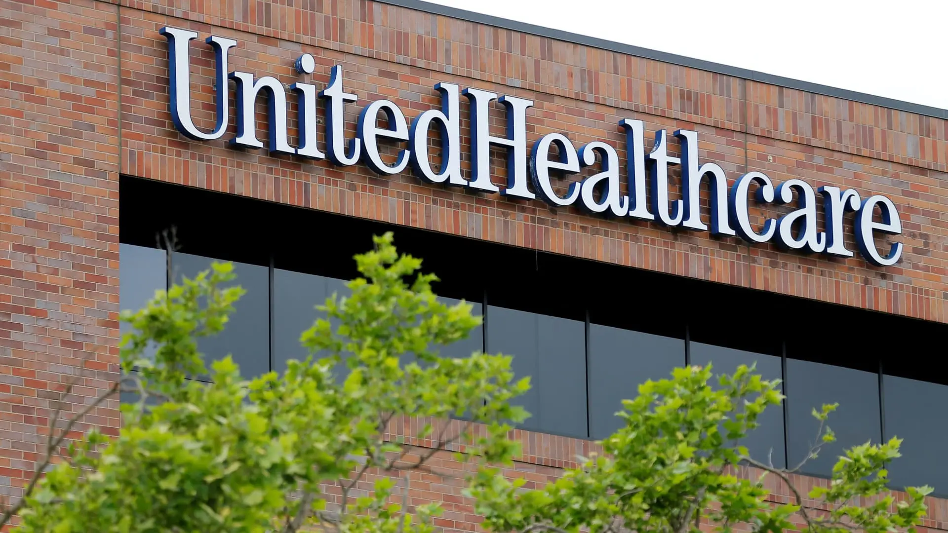 Current Trends in United Health Stock Performance