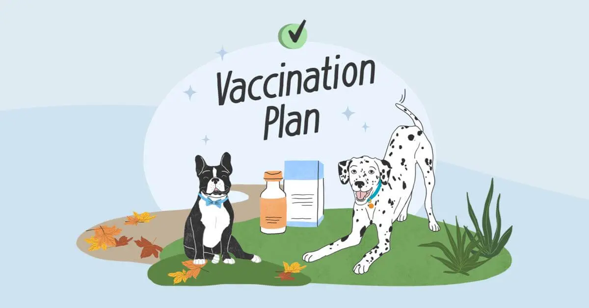 Understanding the Importance of Vaccines in Today’s Society