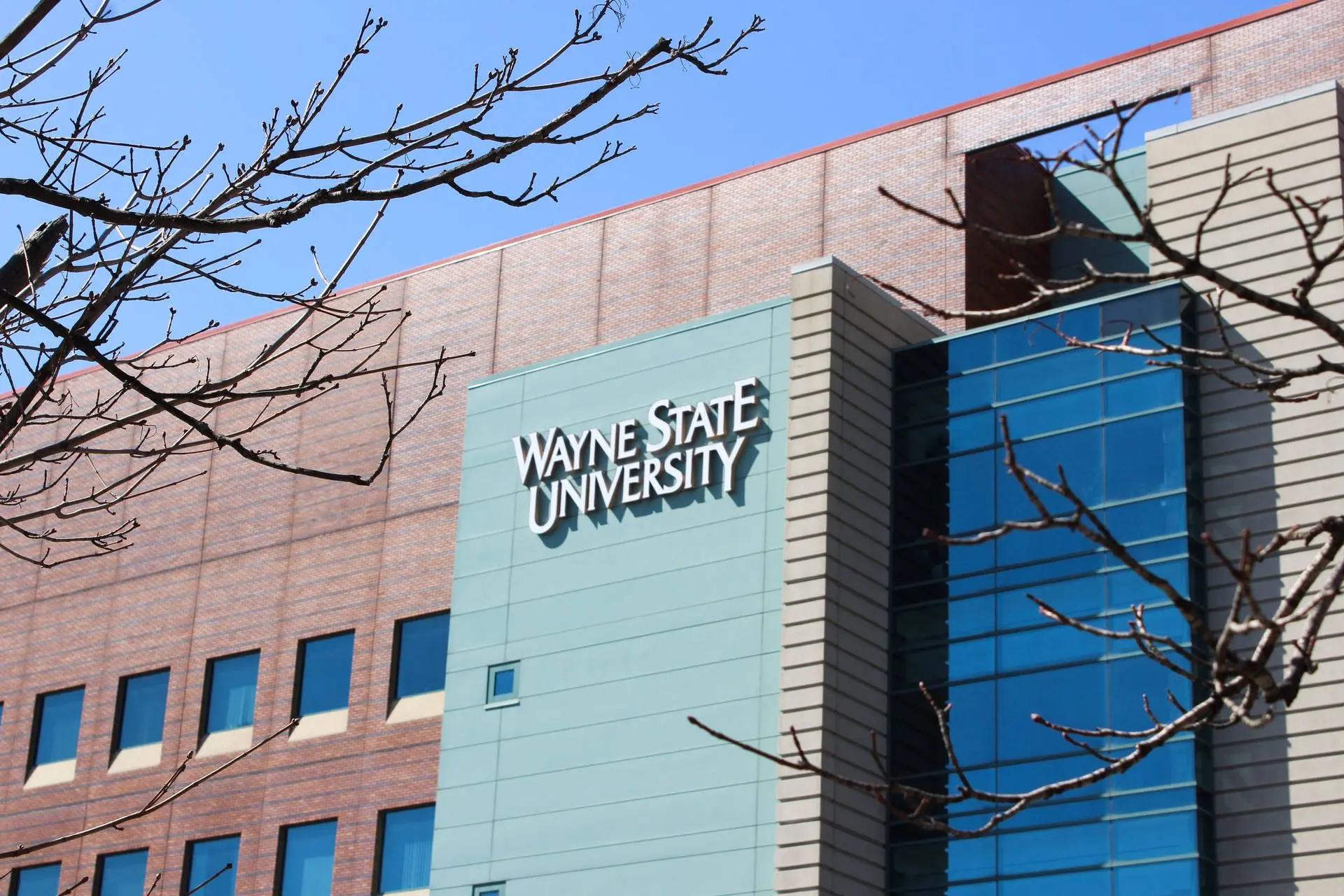 Discovering Wayne State University: Excellence in Education