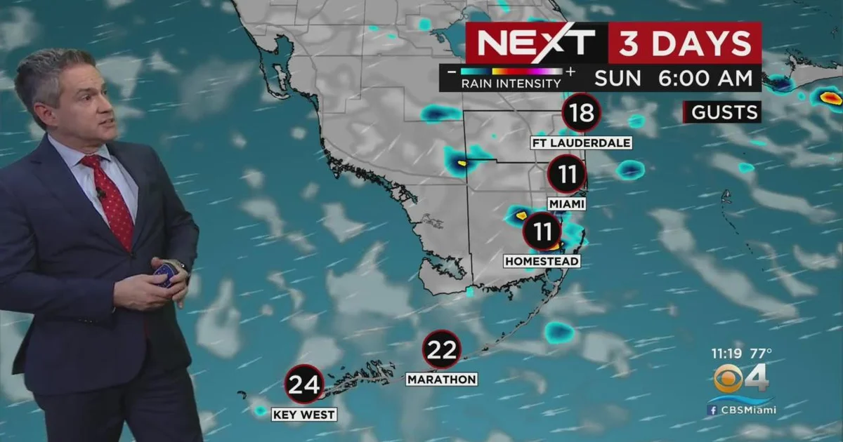 Understanding the Weather in Miami: Current Conditions and Forecasts