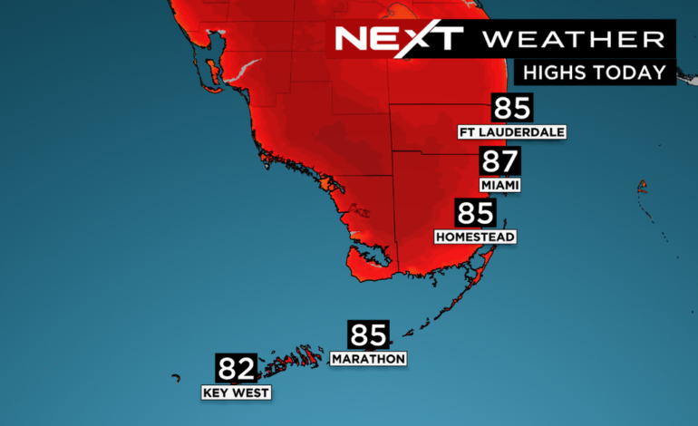 Current Weather in Miami: What to Expect