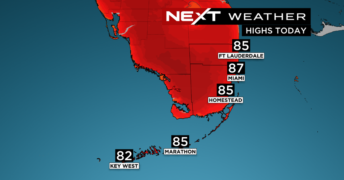 Current Weather in Miami: What to Expect
