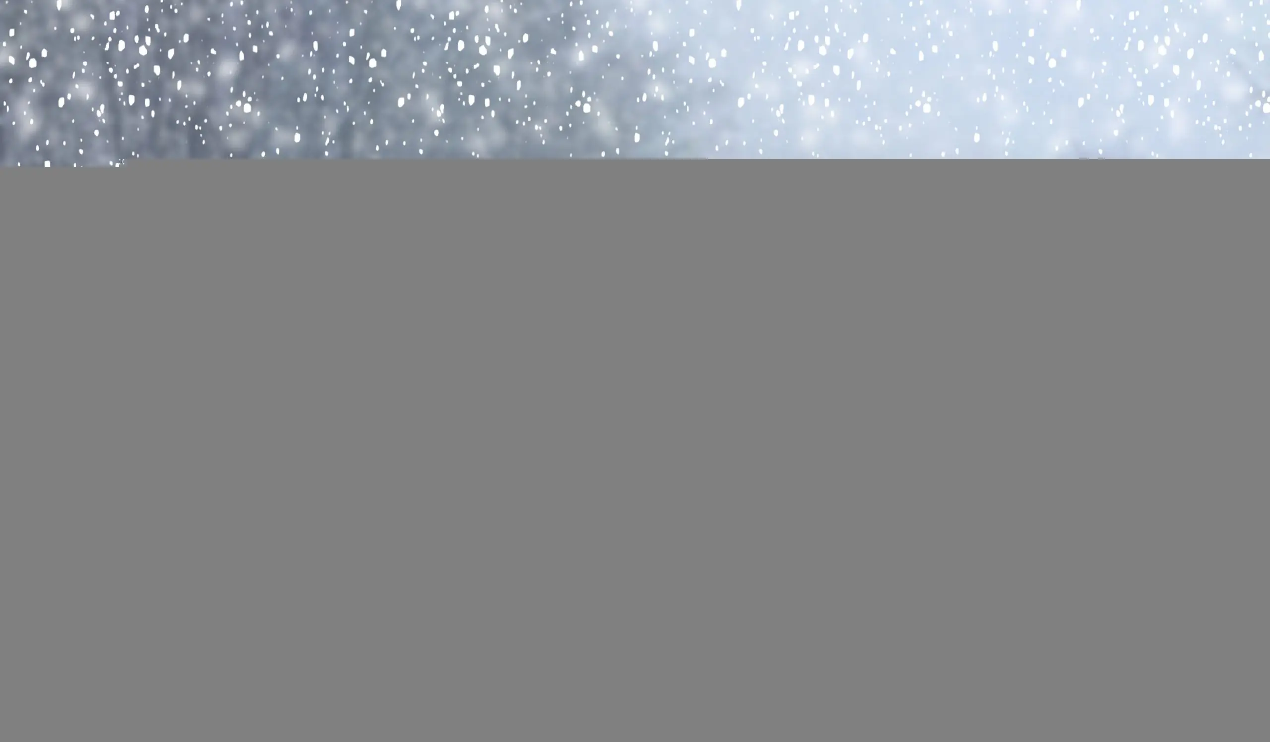 Understanding the Winter Storm Warning Alerts