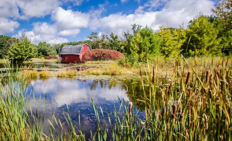 Exploring the Growth of Zimmerman MN