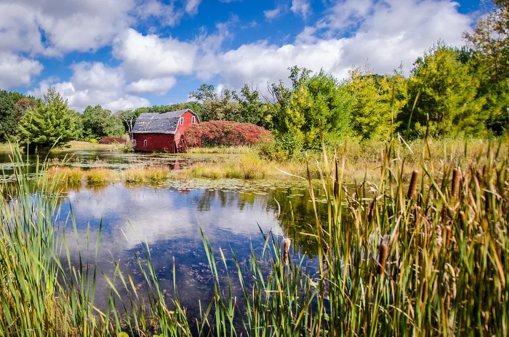 Exploring the Growth of Zimmerman MN