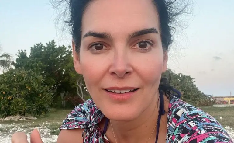 The Inspiring Career of Angie Harmon