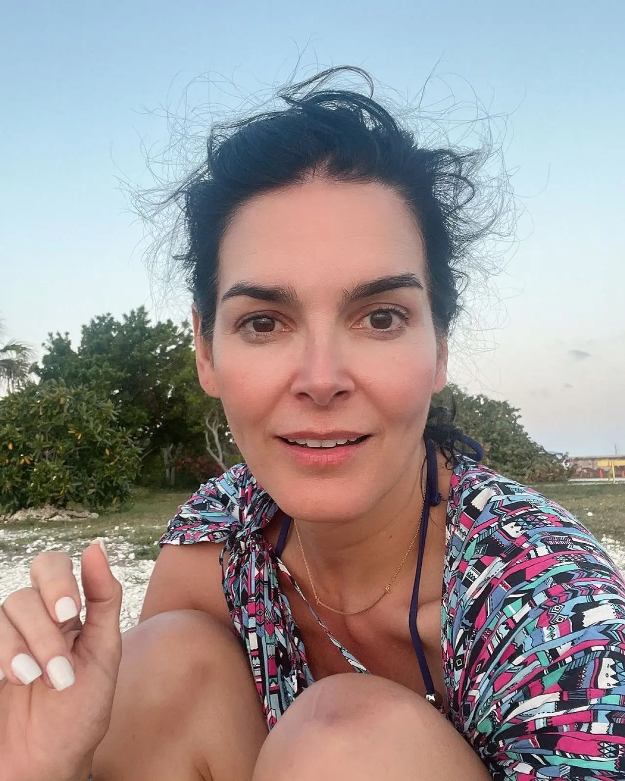 The Inspiring Career of Angie Harmon