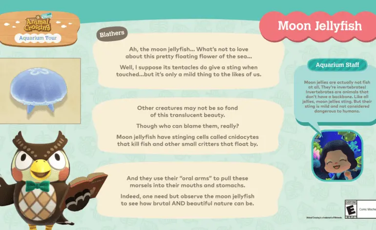 Experience the Animal Crossing Aquarium Tour Across the US