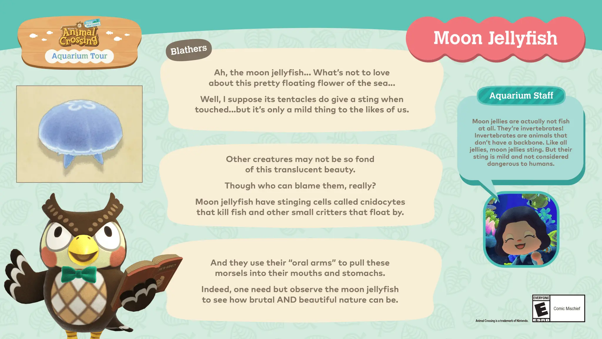 Experience the Animal Crossing Aquarium Tour Across the US