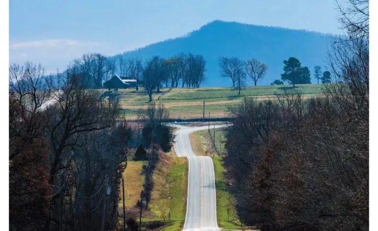 Exploring Ardot and Its Impact on Technology