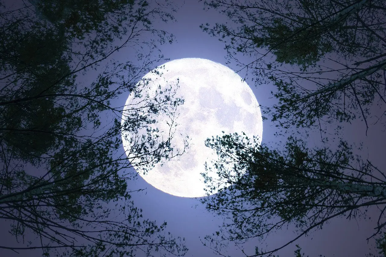 The Fascinating World of Blue Moons