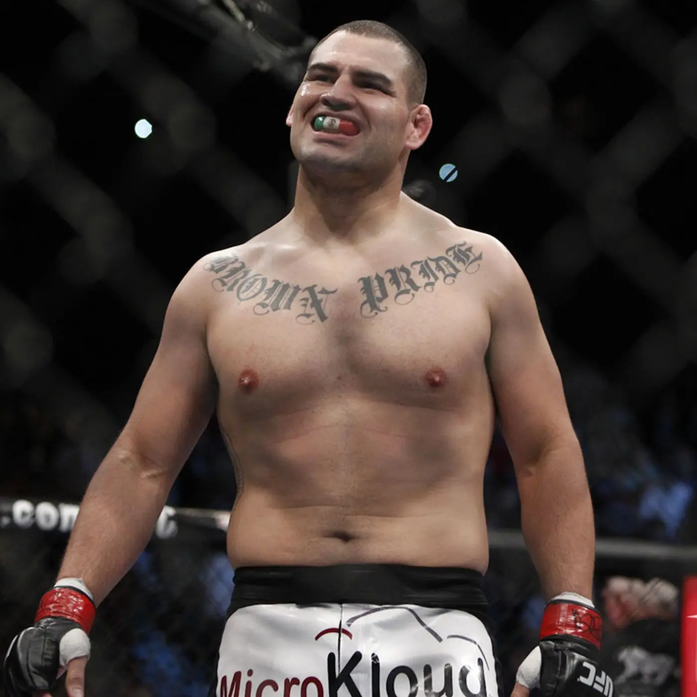 Cain Velasquez’s New Chapter After MMA: An Overview
