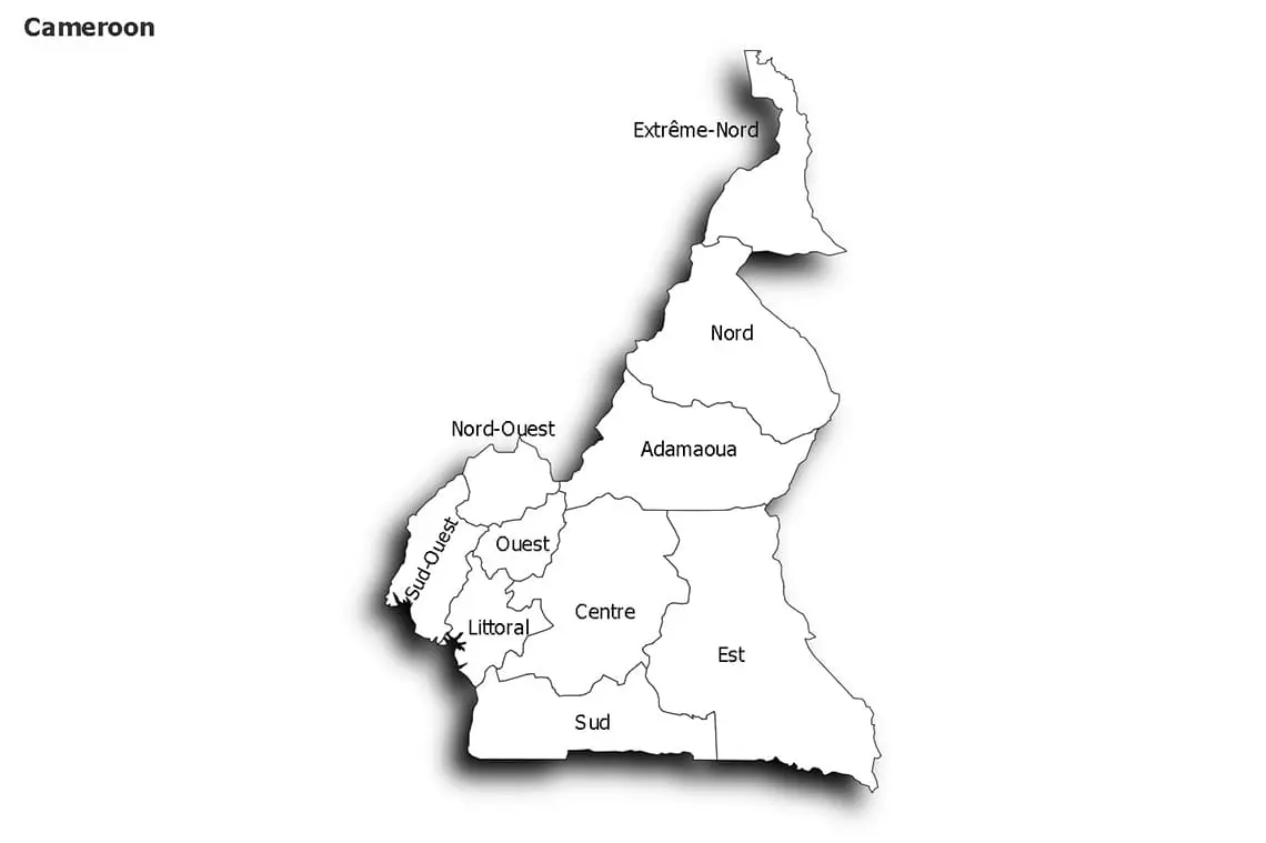 Exploring Recent Developments in Cameroon