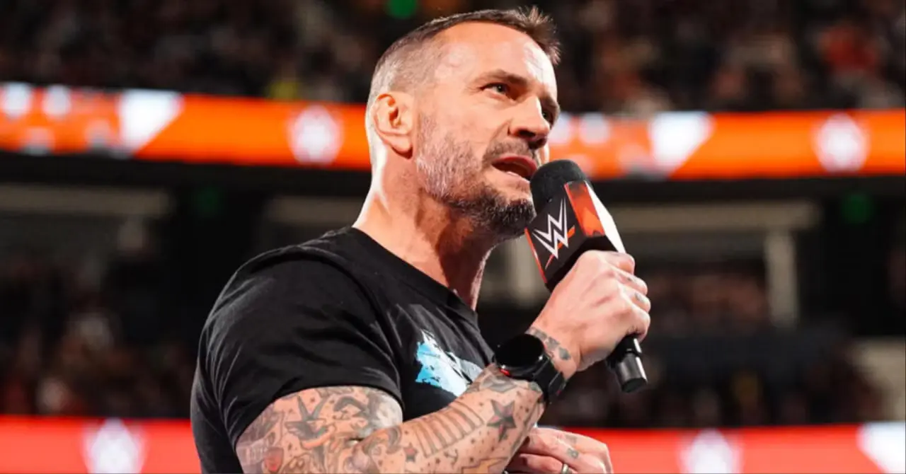 The Rise and Return of CM Punk in Professional Wrestling
