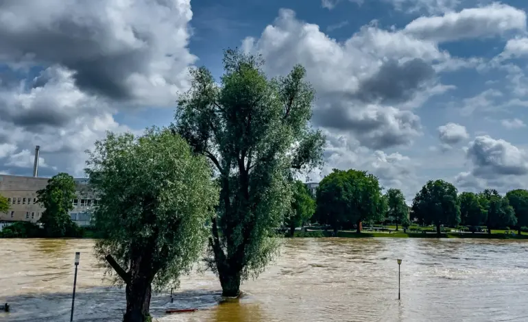 Understanding Coastal Flood Warnings: Their Importance and Impact