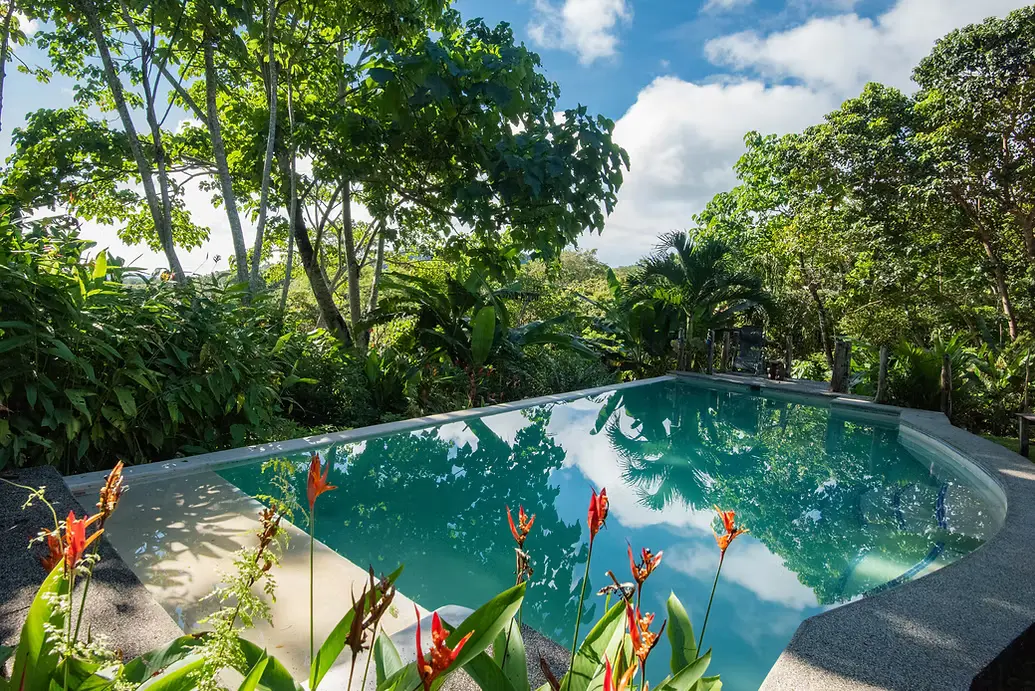 Discovering Costa Rica: The Jewel of Central America