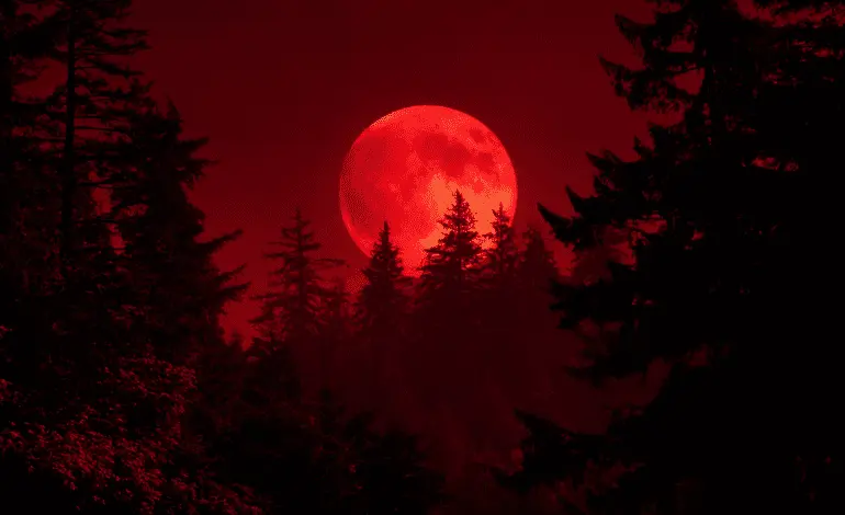 Understanding the Crimson Moon: An Important Celestial Event