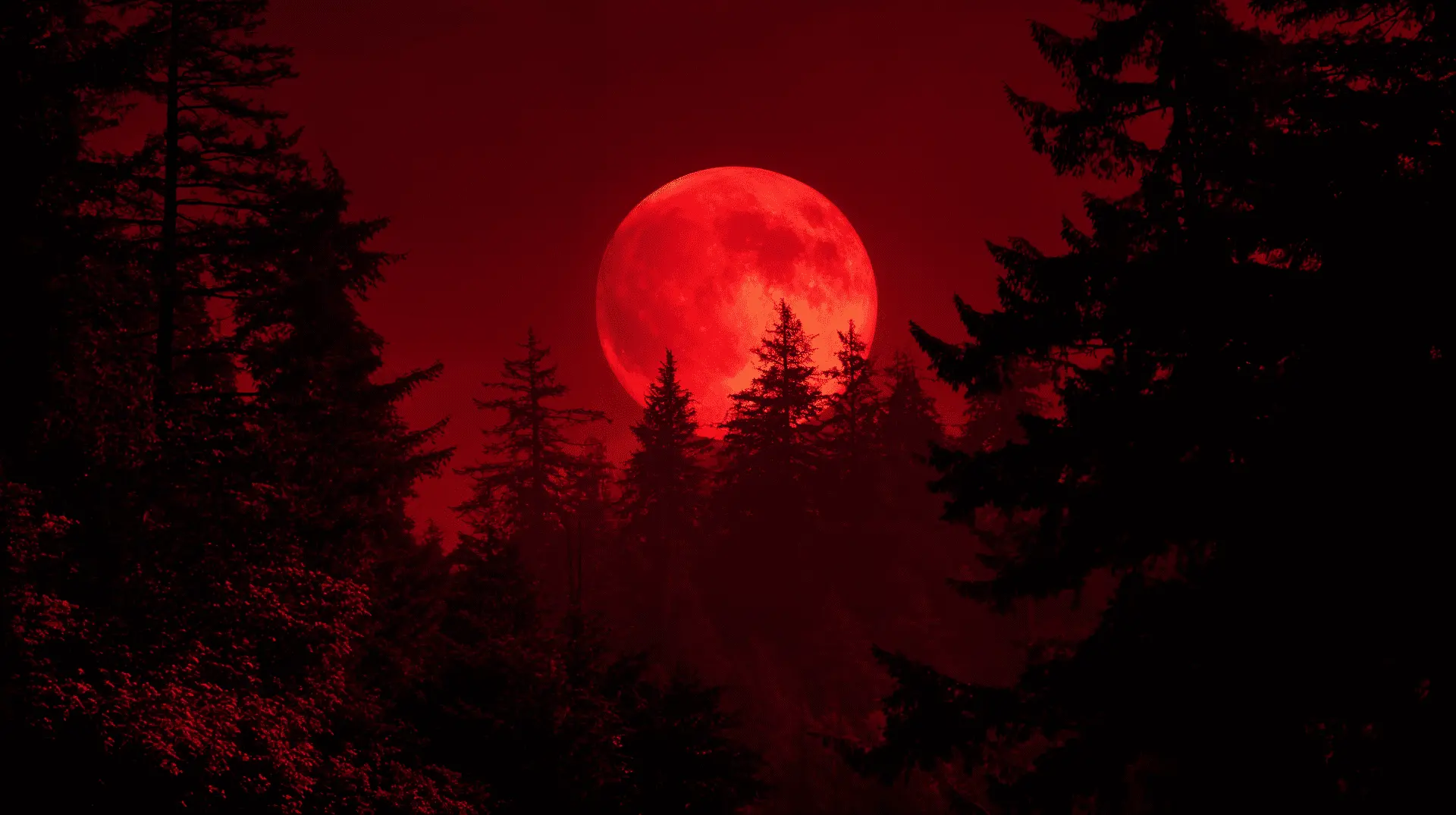 Understanding the Crimson Moon: An Important Celestial Event