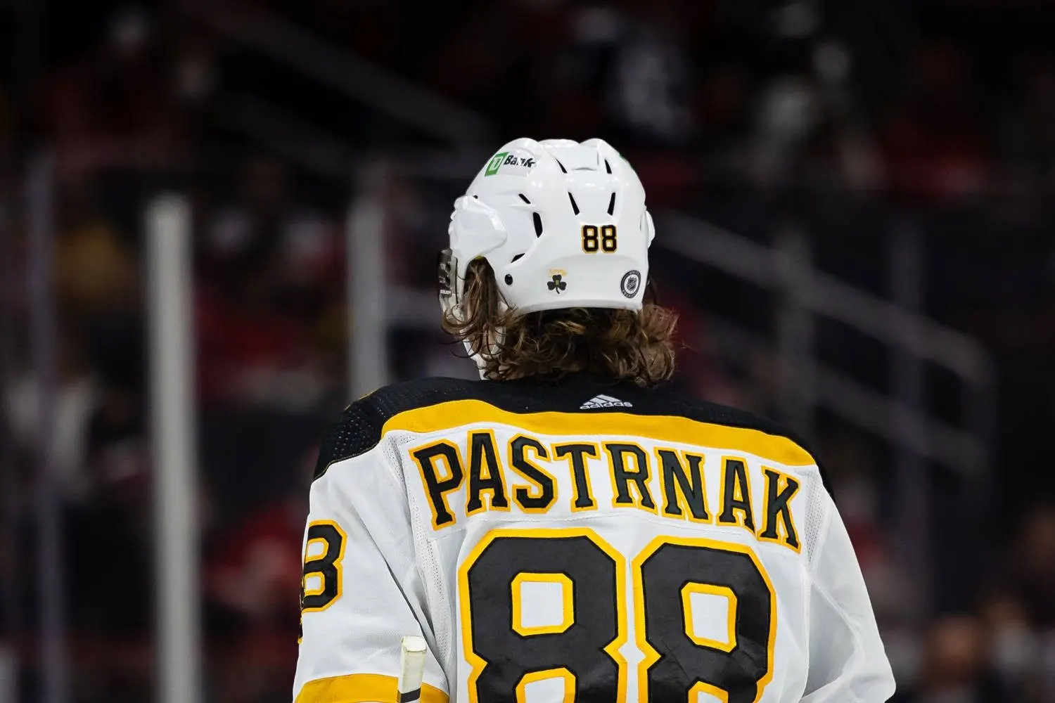 David Pastrnak: The Ascension of an NHL Star