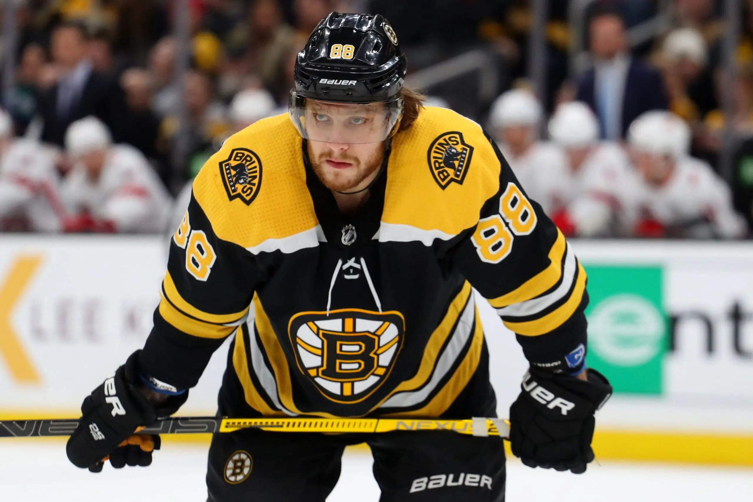 The Rise of David Pastrnak: A Bruins Phenomenon