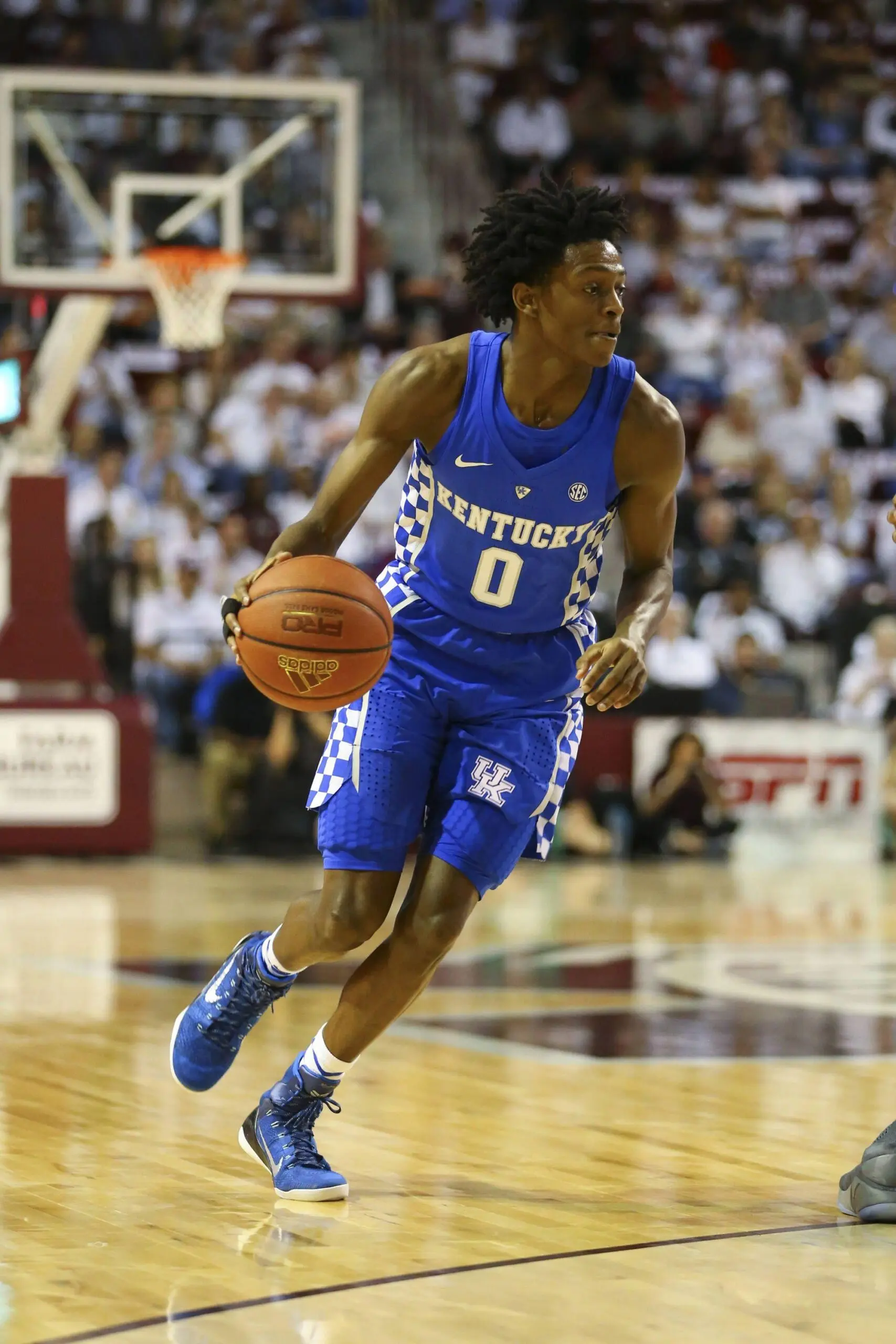 De’Aaron Fox: A Closer Look at His NBA Journey