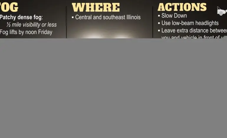 Understanding Dense Fog Advisory Alerts and Their Impact