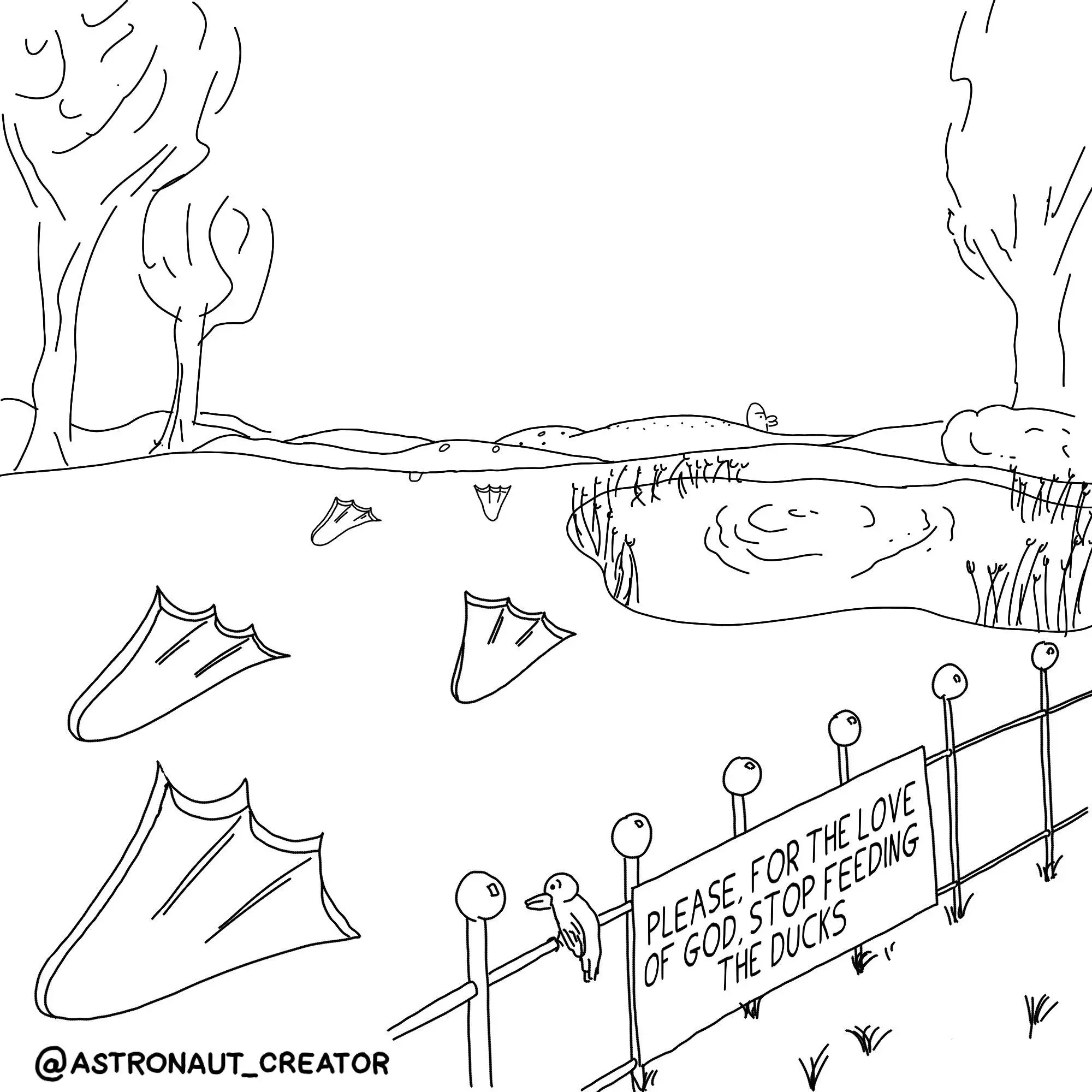 Understanding Ducks: Habitats, Behaviors, and Importance