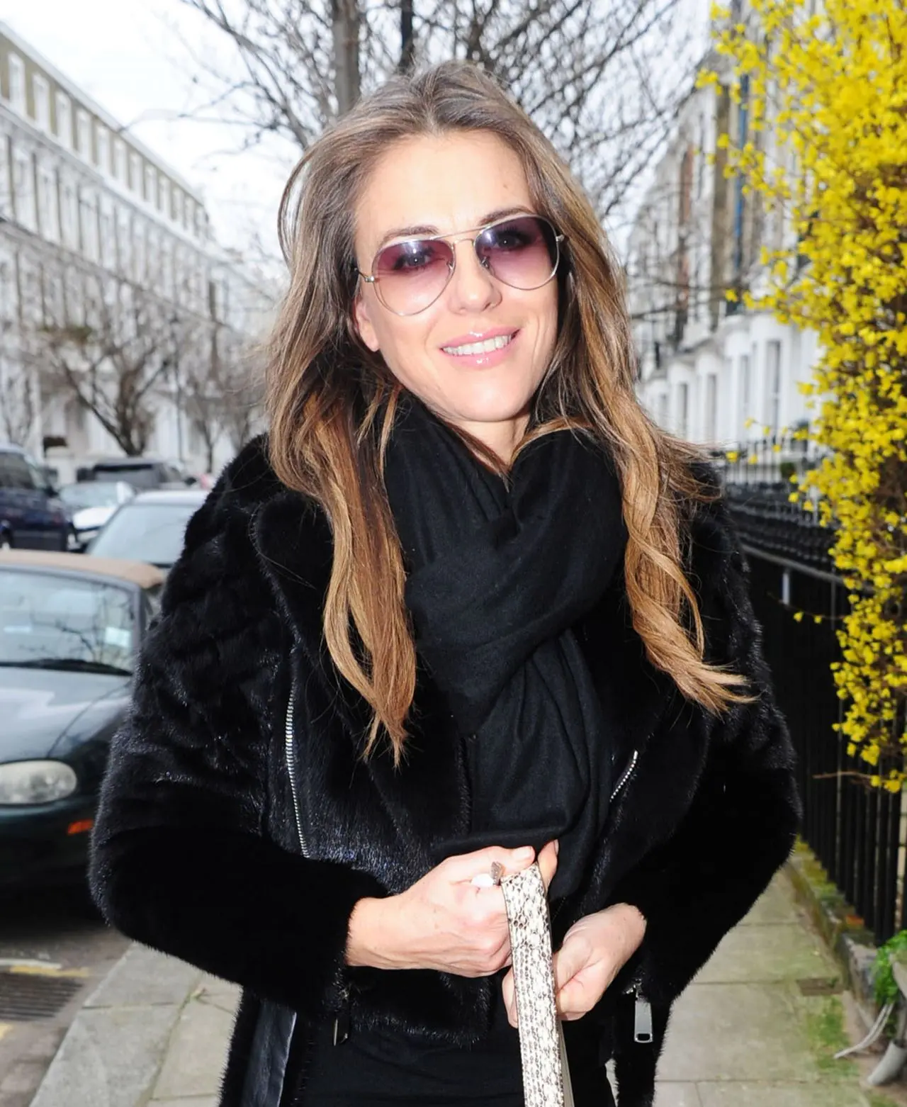 A Look at Elizabeth Hurley’s Career and Philanthropy