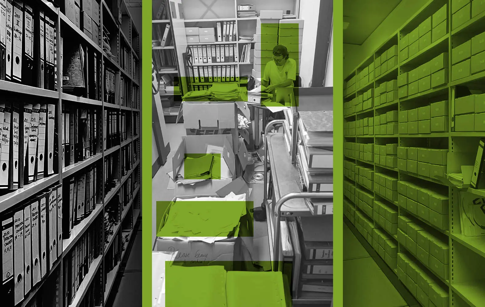The Importance of EMBO in Advancing Life Sciences