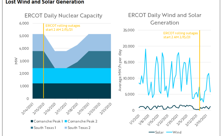 Overview of the Recent ERCOT Power Outage