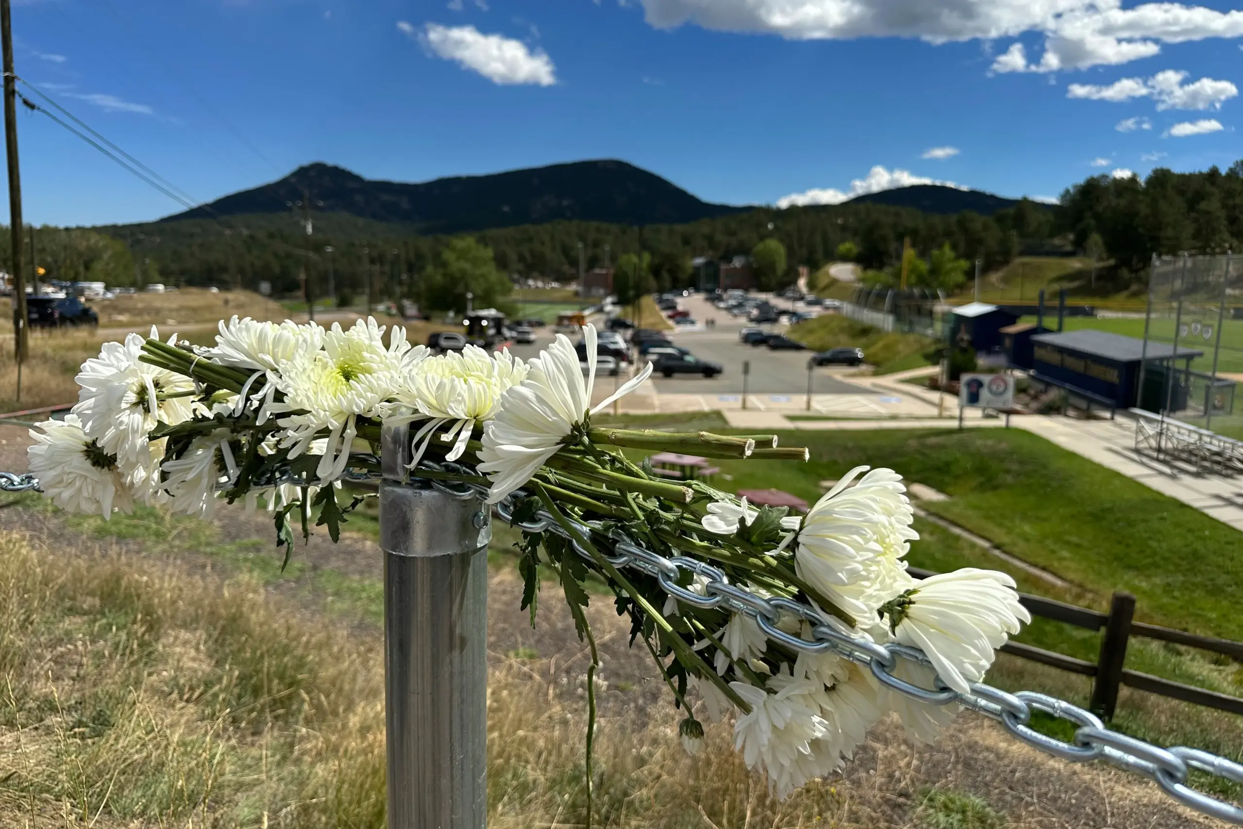Overview of the Evergreen Shooting Incident