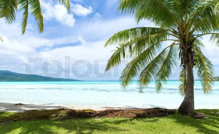 Exploring the Wonders of French Polynesia