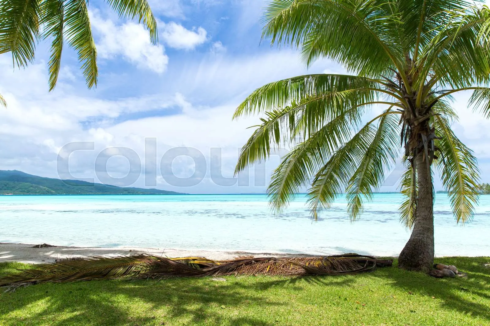 Exploring the Wonders of French Polynesia