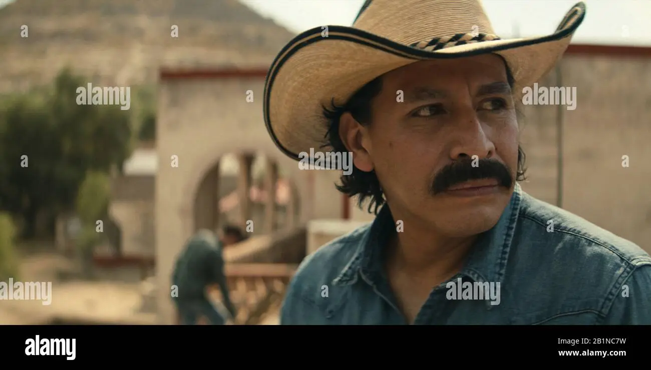The Impact of Gerardo Taracena in Narcos Mexico