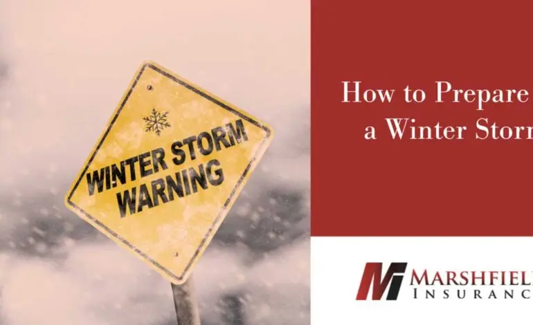 Essential Steps on How to Prepare for Winter Storms