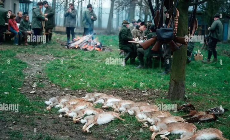 The Cultural and Ecological Significance of Hunting Parties