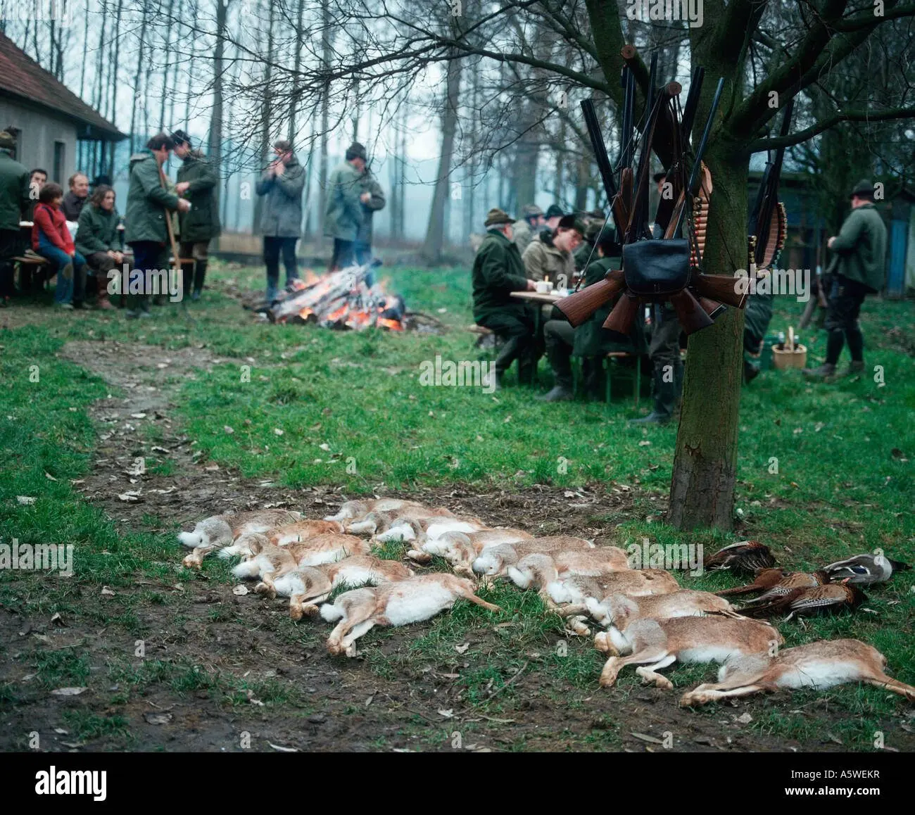 The Cultural and Ecological Significance of Hunting Parties