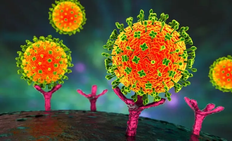 Understanding the Nipah Virus Outbreak in India