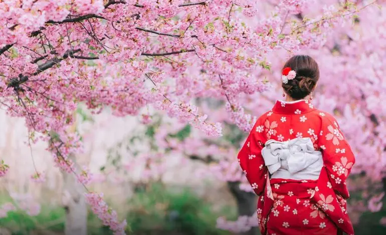 Celebrating the Joy of the Japanese Cherry Blossom Festival