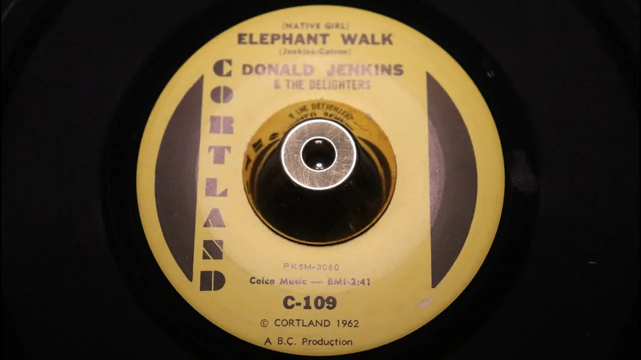 Exploring the Impact of JSN in Modern Software Development