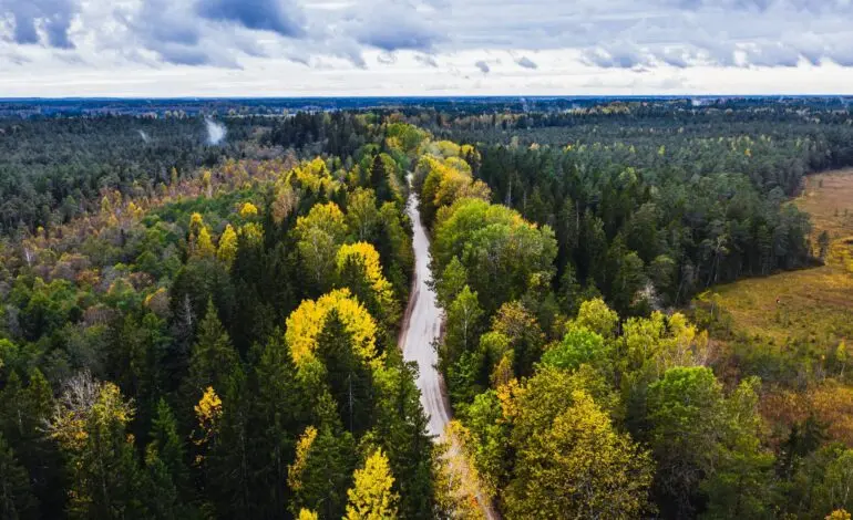 Exploring Latvia: Culture, Economy, and Future Prospects