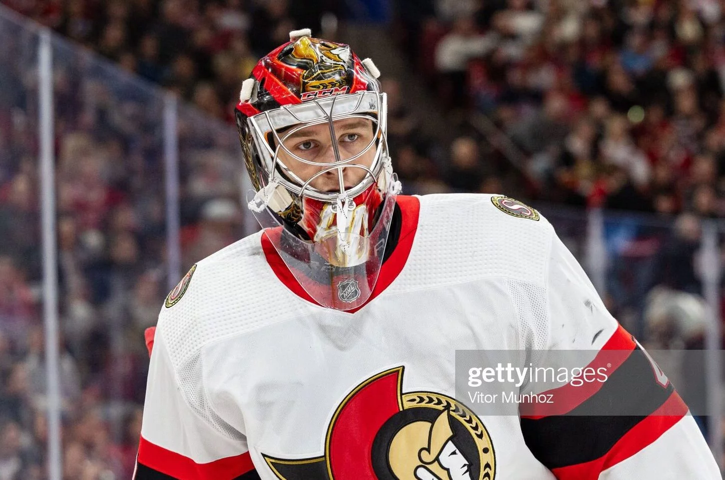The Rise of Mads Sogaard in Professional Hockey
