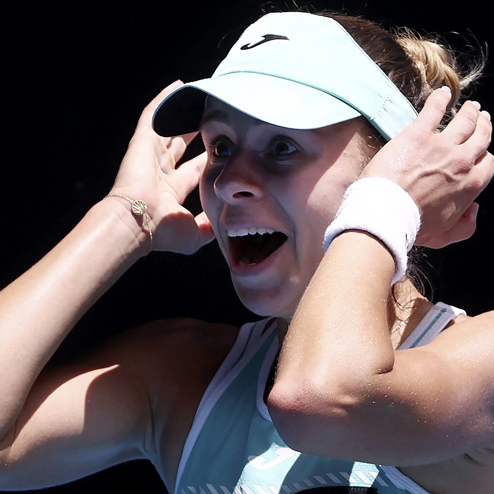 Magda Linette: A Breakthrough Year in Women’s Tennis