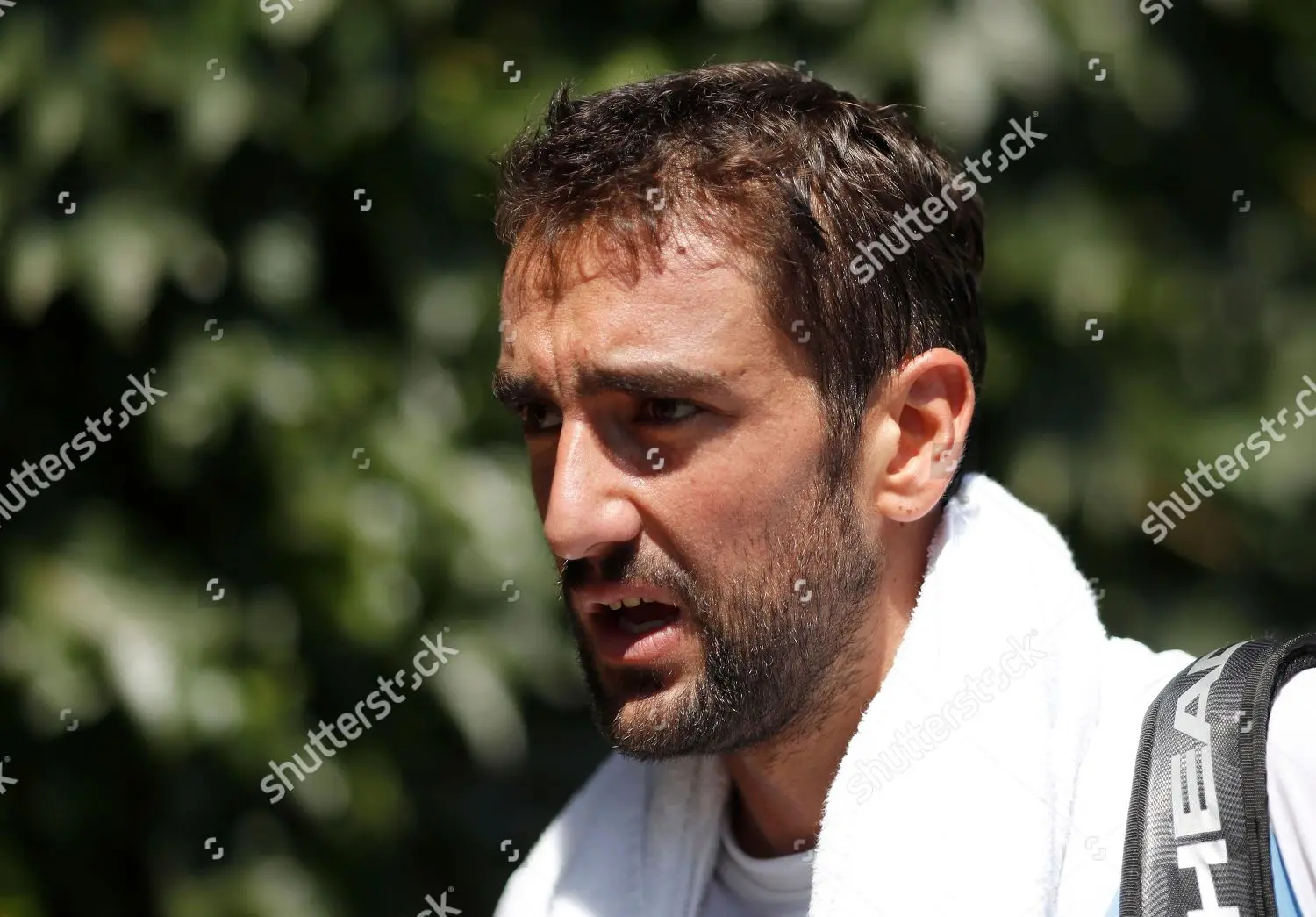 Marin Cilic: A Look at His Tennis Journey and Achievements