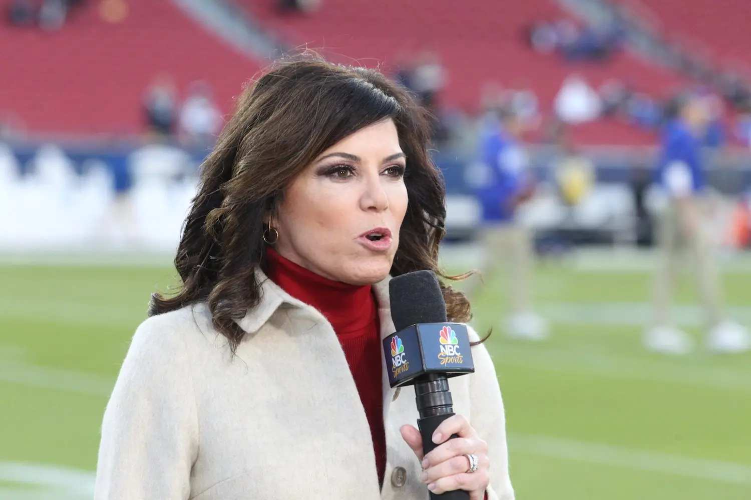 Michele Tafoya Transitions to Political Commentary