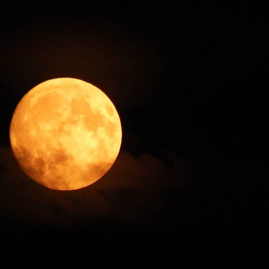 What to Expect from the Moon Tonight