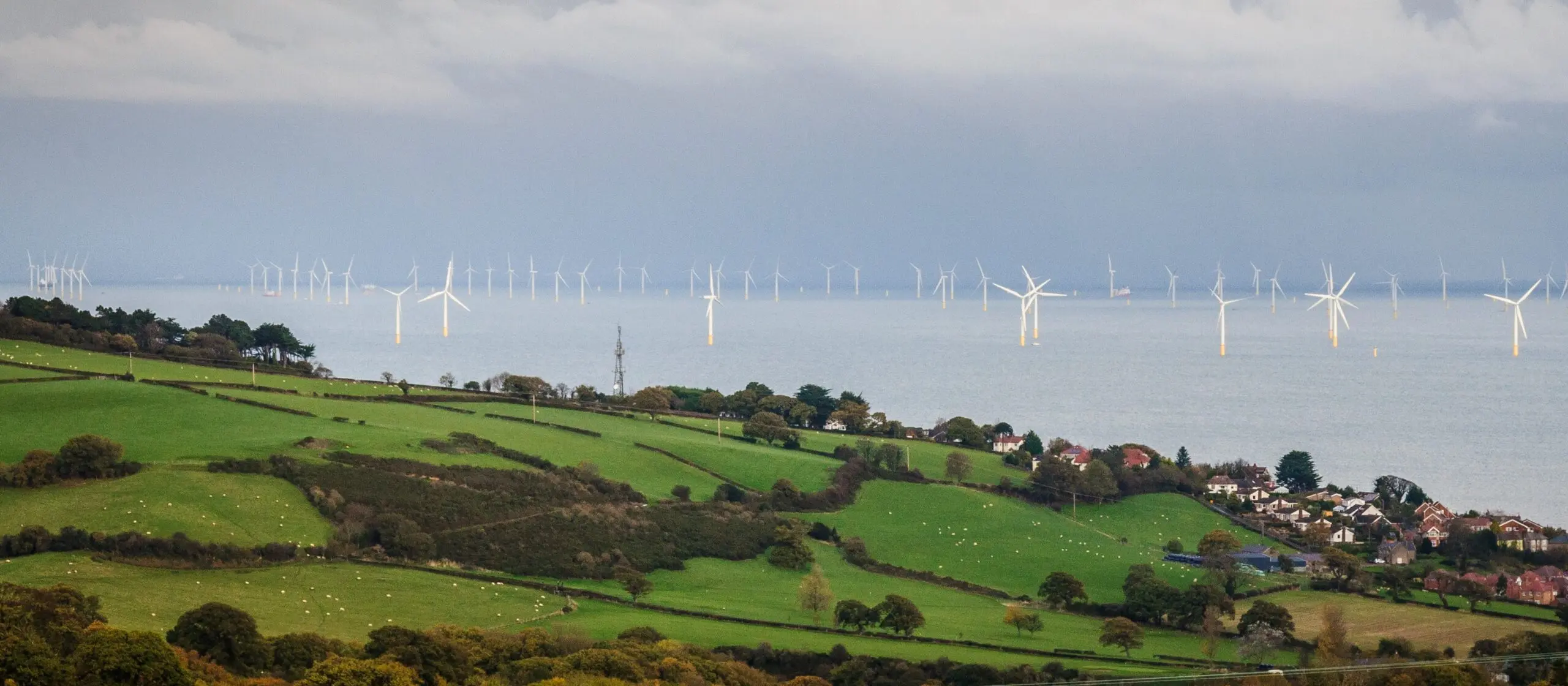 The National Grid: Backbone of U.S. Energy Distribution