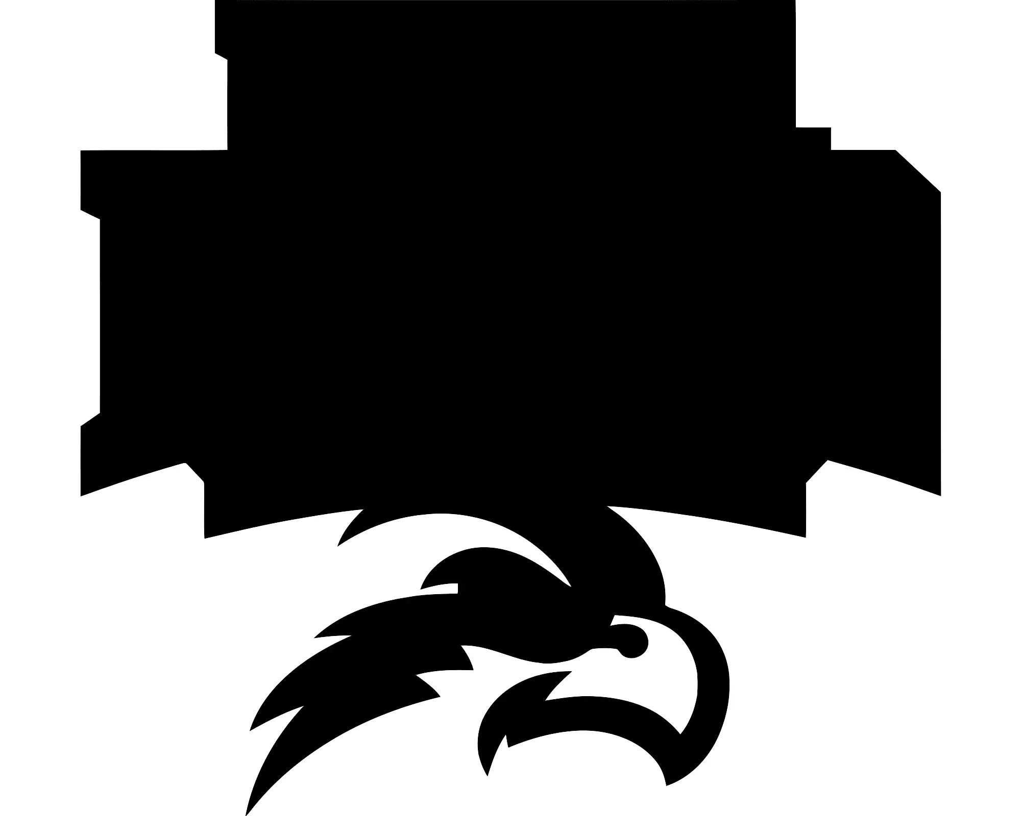 Current Trends and Updates in North Florida Basketball