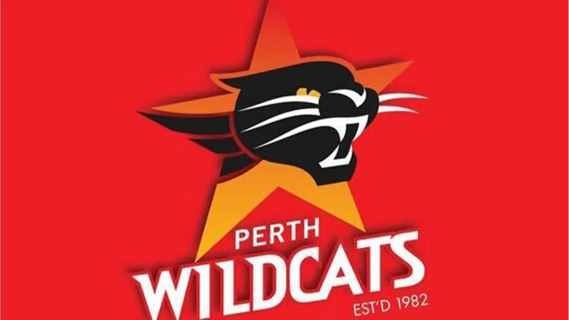 The Perth Wildcats: A Dominant Force in Australian Basketball